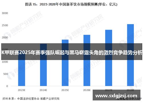 K甲联赛2025年赛季强队崛起与黑马崭露头角的激烈竞争趋势分析