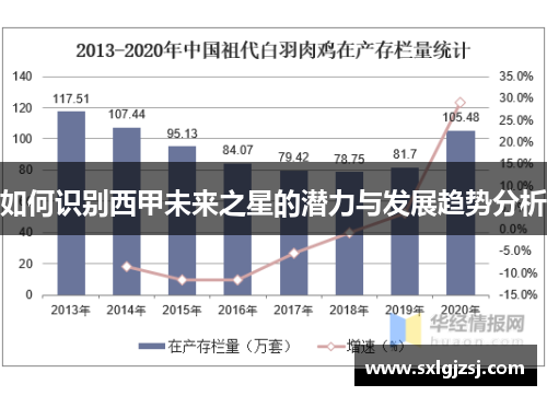 如何识别西甲未来之星的潜力与发展趋势分析