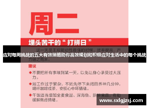 应对每周挑战的五大有效策略助你高效规划和积极应对生活中的每个挑战