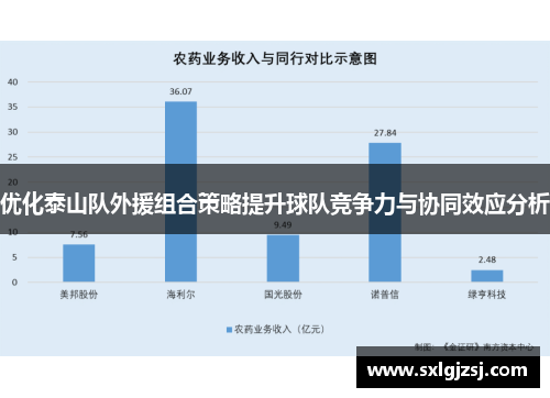 优化泰山队外援组合策略提升球队竞争力与协同效应分析