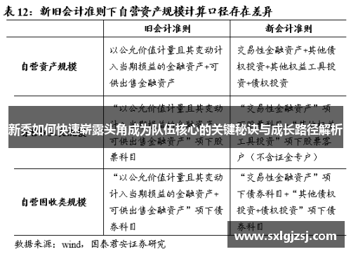 新秀如何快速崭露头角成为队伍核心的关键秘诀与成长路径解析