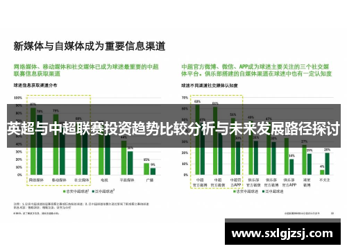 英超与中超联赛投资趋势比较分析与未来发展路径探讨