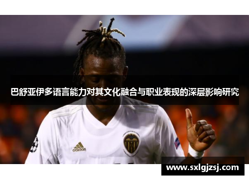 巴舒亚伊多语言能力对其文化融合与职业表现的深层影响研究